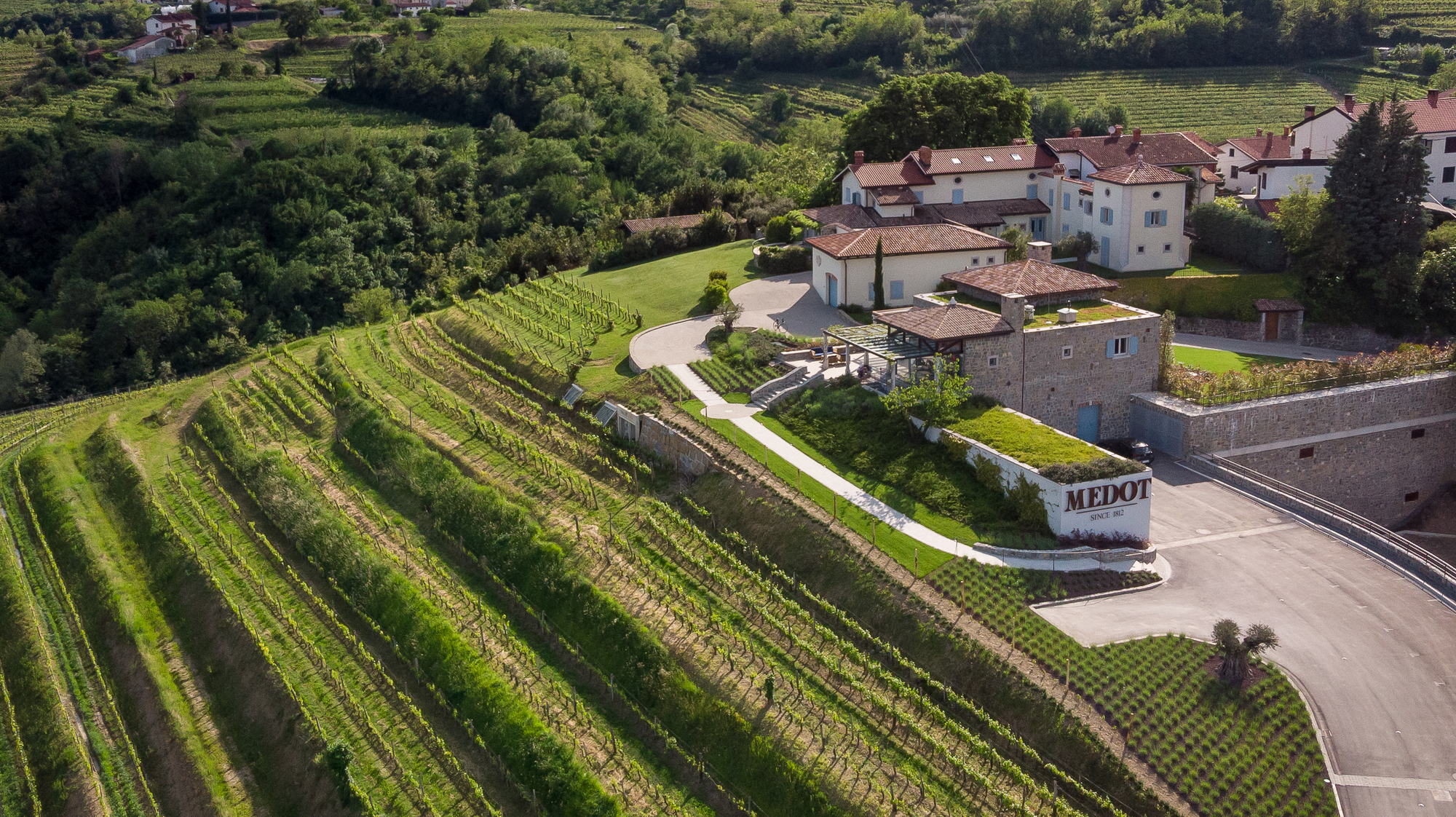 Medot i vinogradi