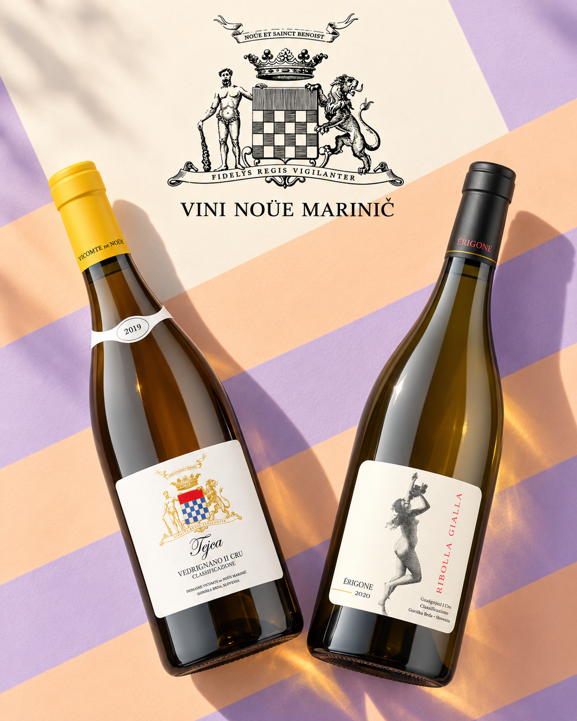 Vini Noüe Marinič — vina Tejca i Érigone