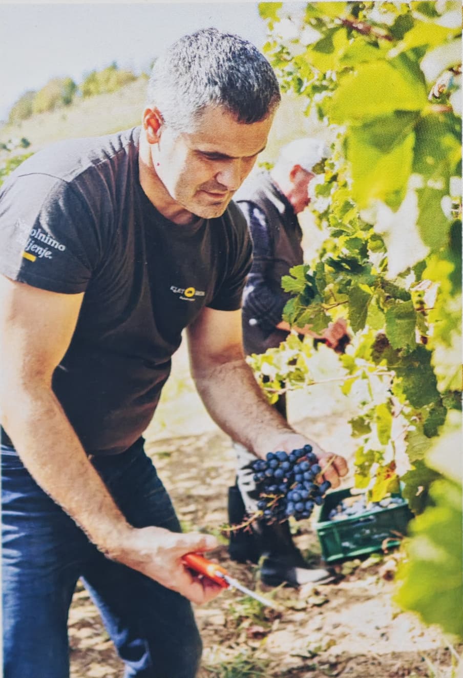 Damjan Resnik, Klet Brda